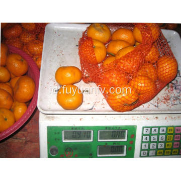 Harga Grosir Bayi Mandarin dengan Kualitas Baik